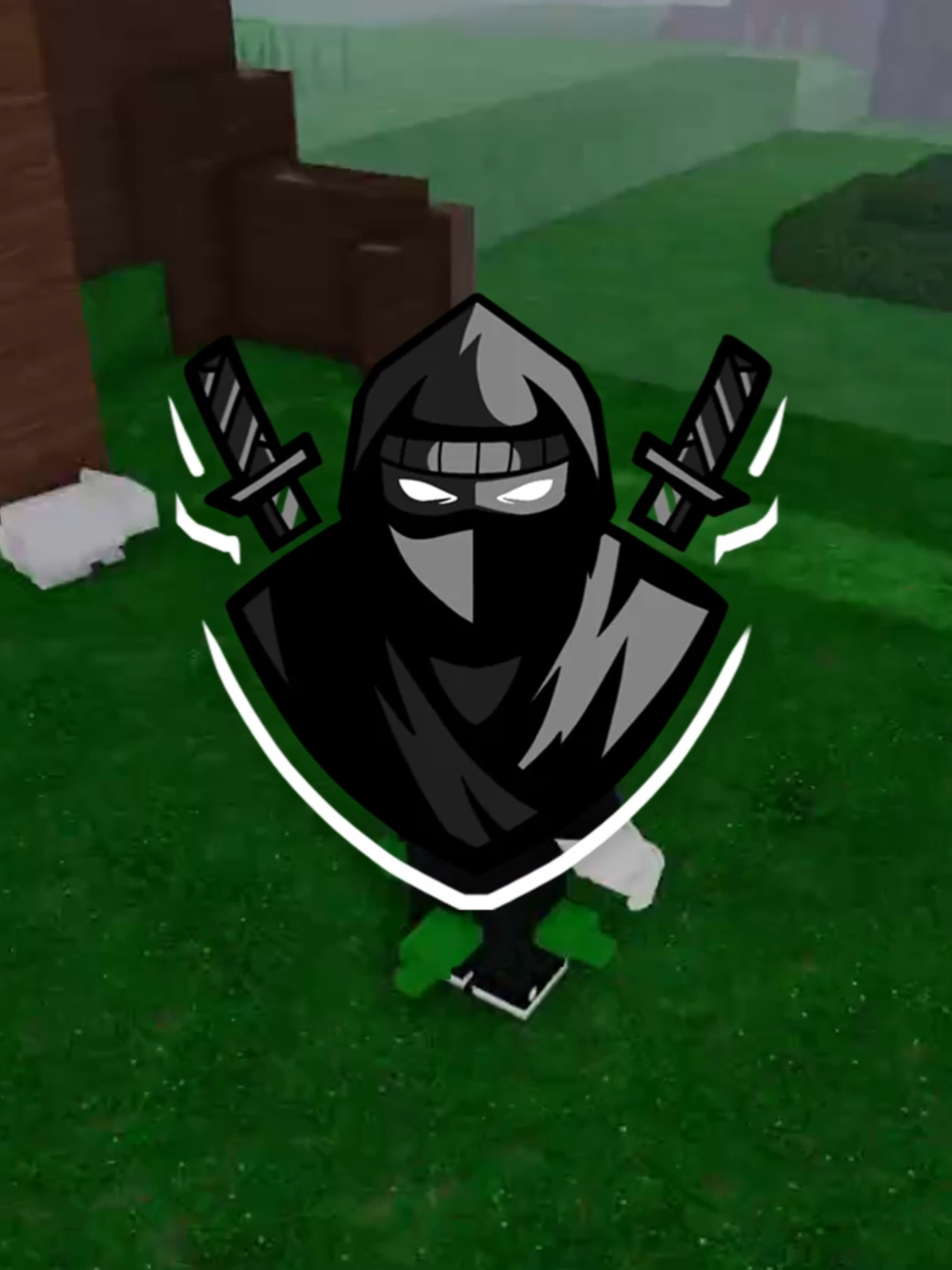 @CheatRBX
