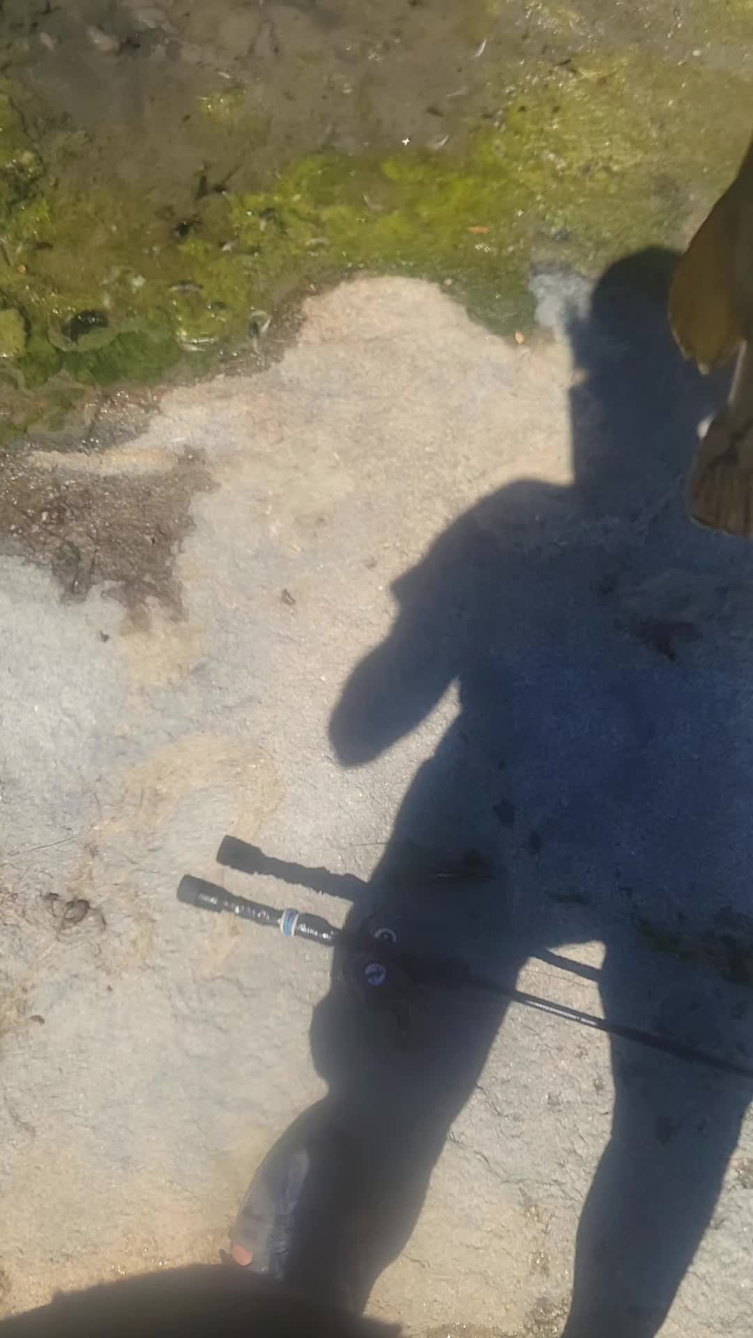 @fucker