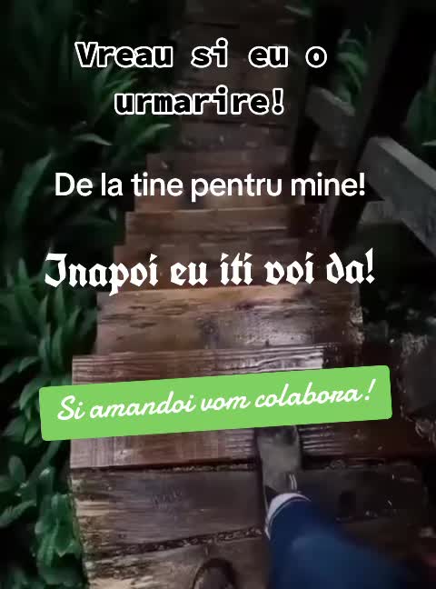 @tatifacebani