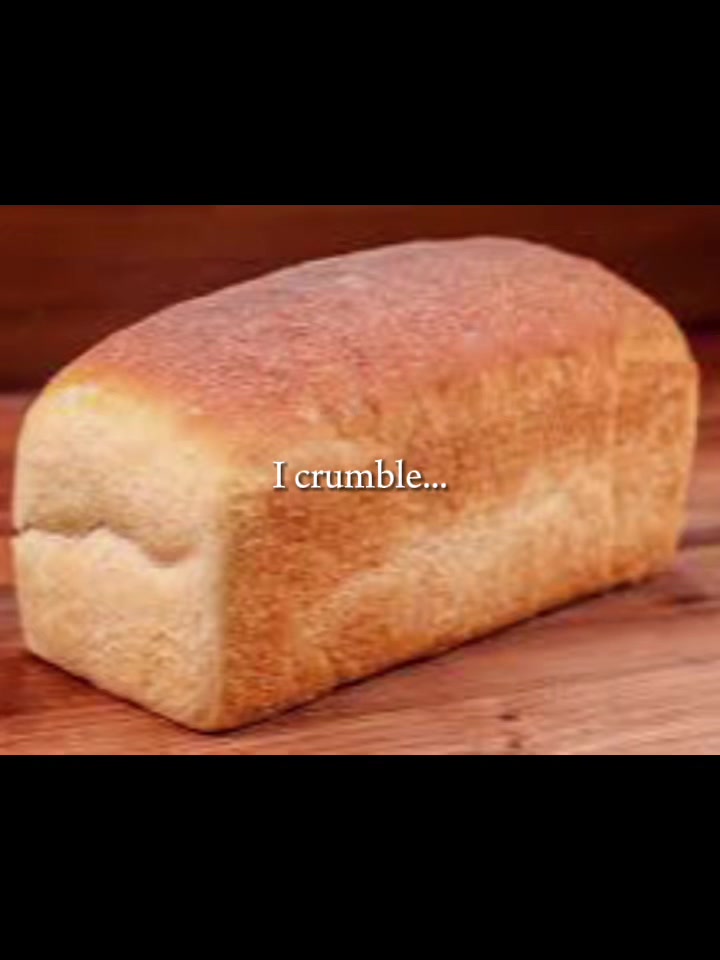 @bread_.cat