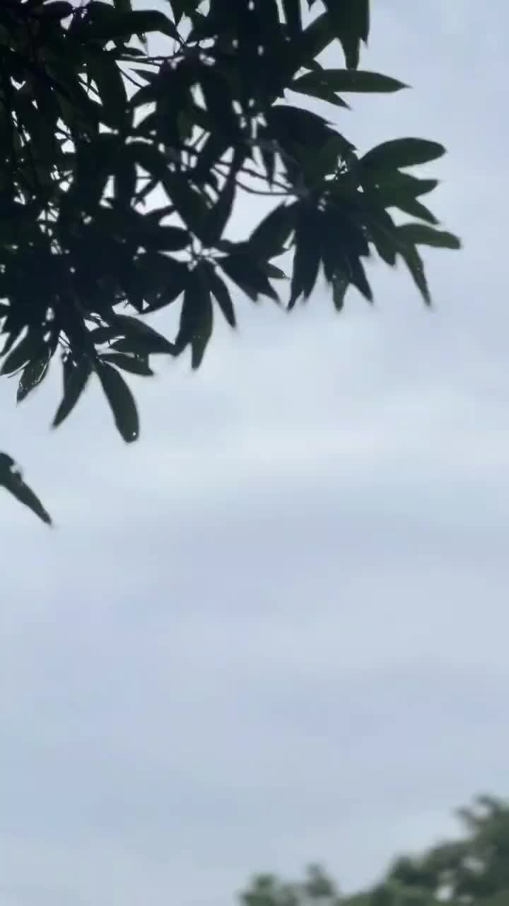 @Saritapant
