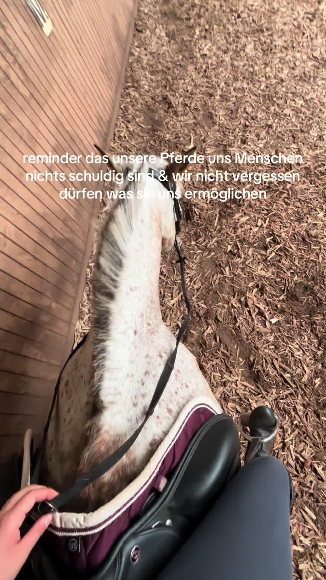 @Kinderreitenfulda