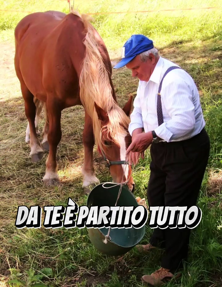 @simonemilivinti