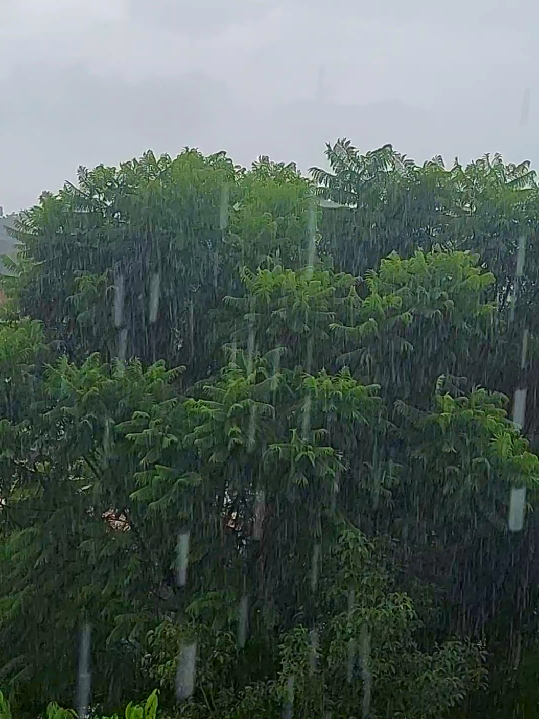 @प्रकृति