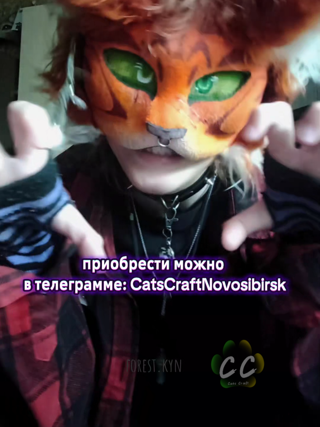@CatsCraft🐾
