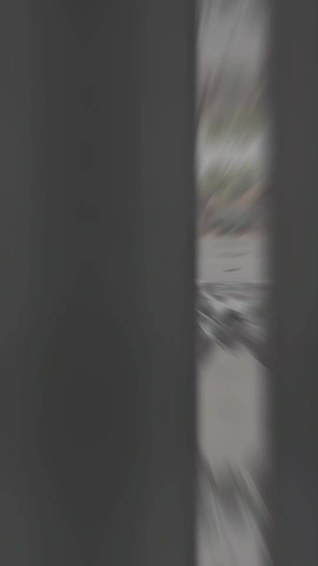 @FT69