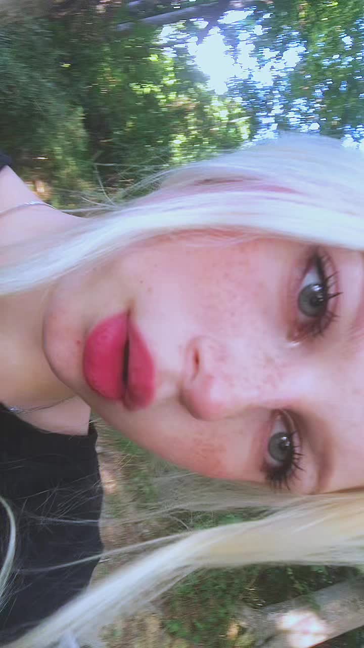 @₍^. .^₎⟆