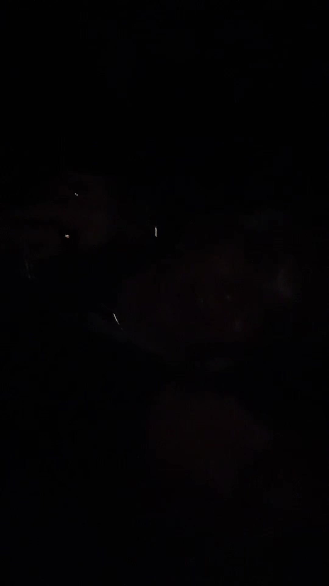 @Metzmann🪩