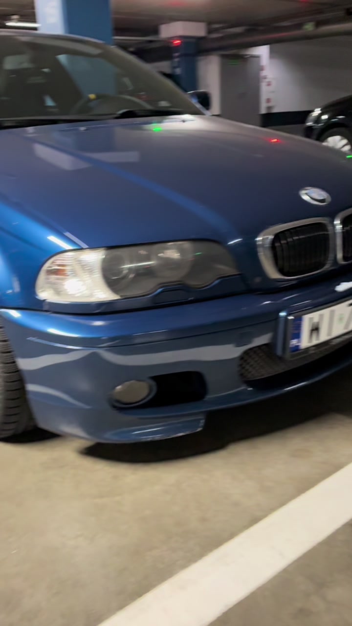 @81_kubuss
