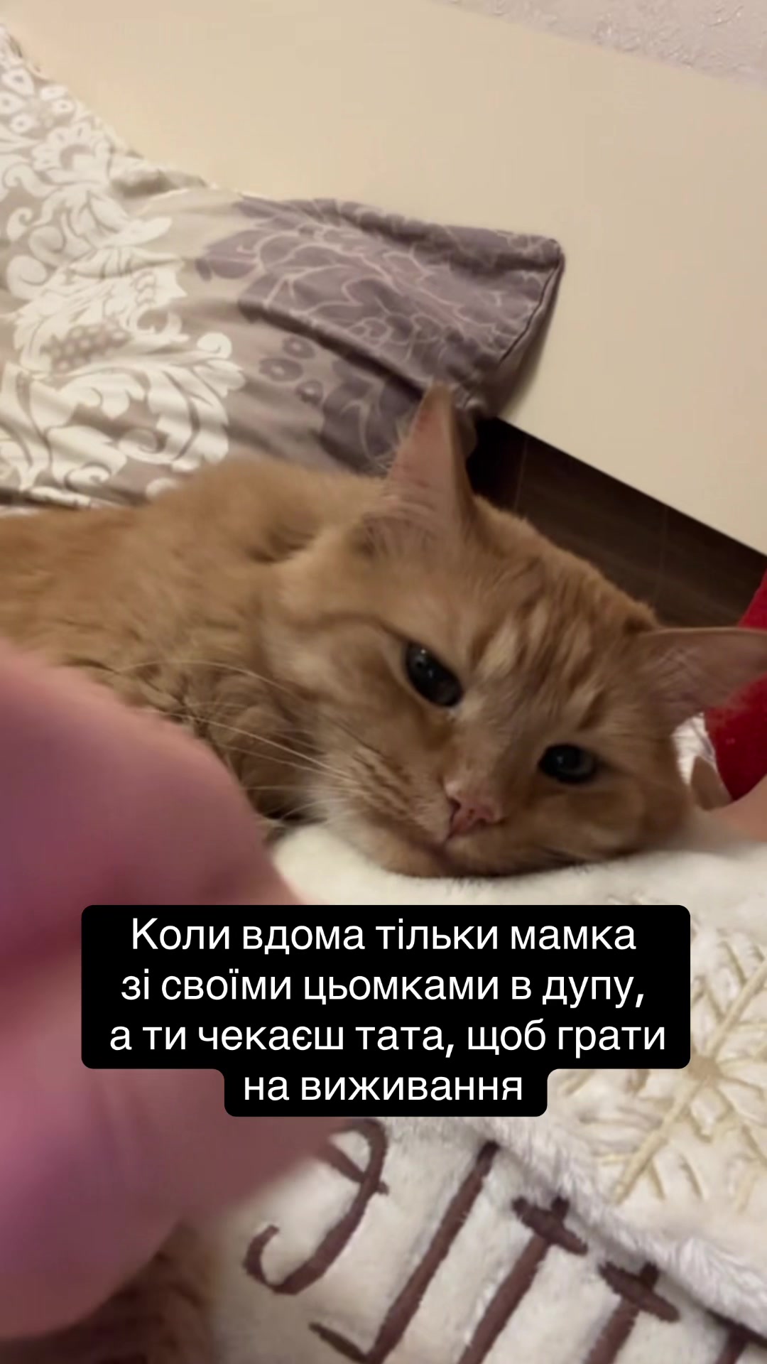 @Юля🐒