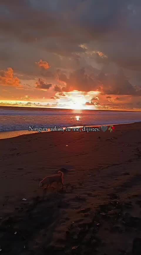 @503🇸🇻