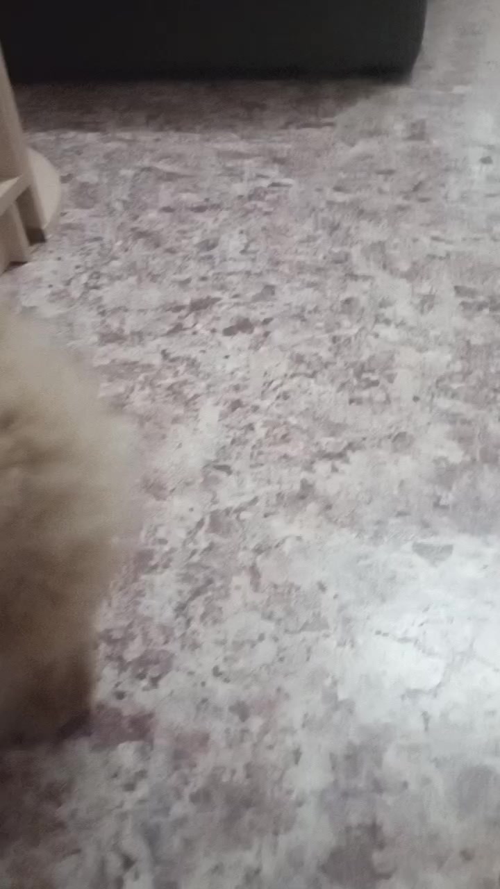 @Ширмик