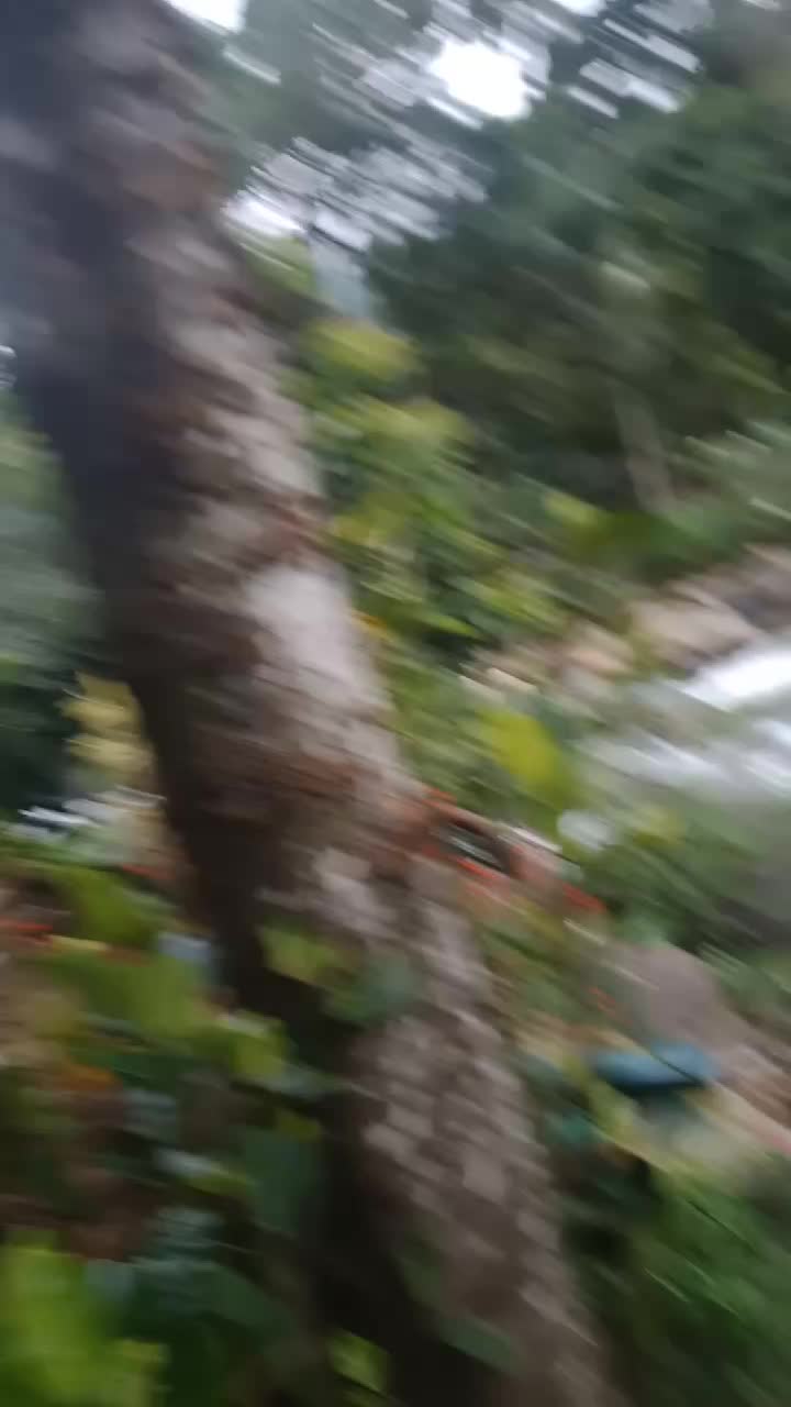 @Rahul 123