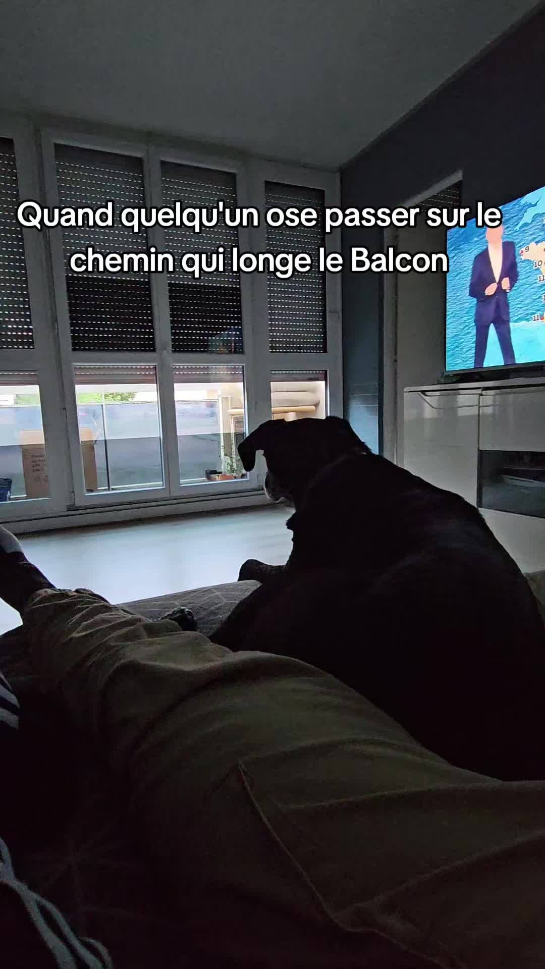 @Ne&iuml;ko Ne&iuml;ko