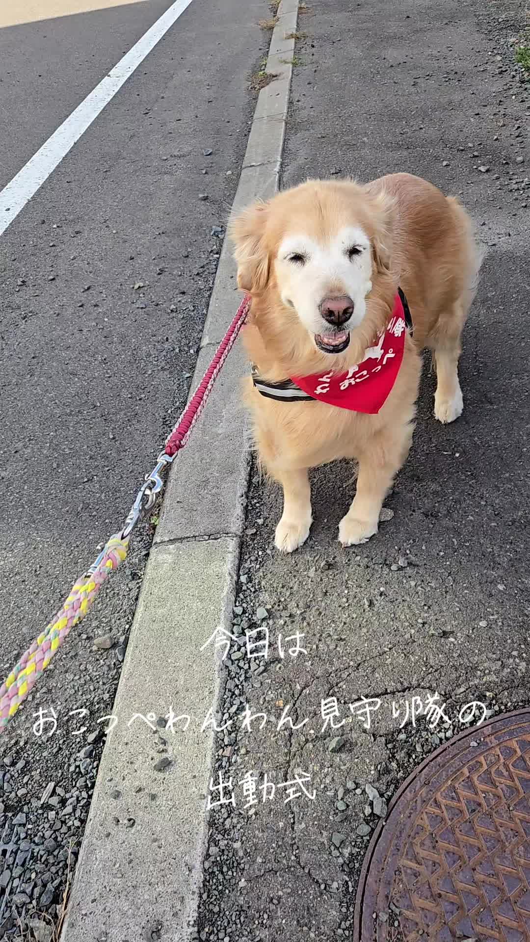 @ナナルナ