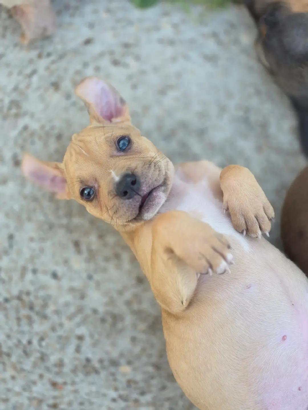@Hera_The_Bully
