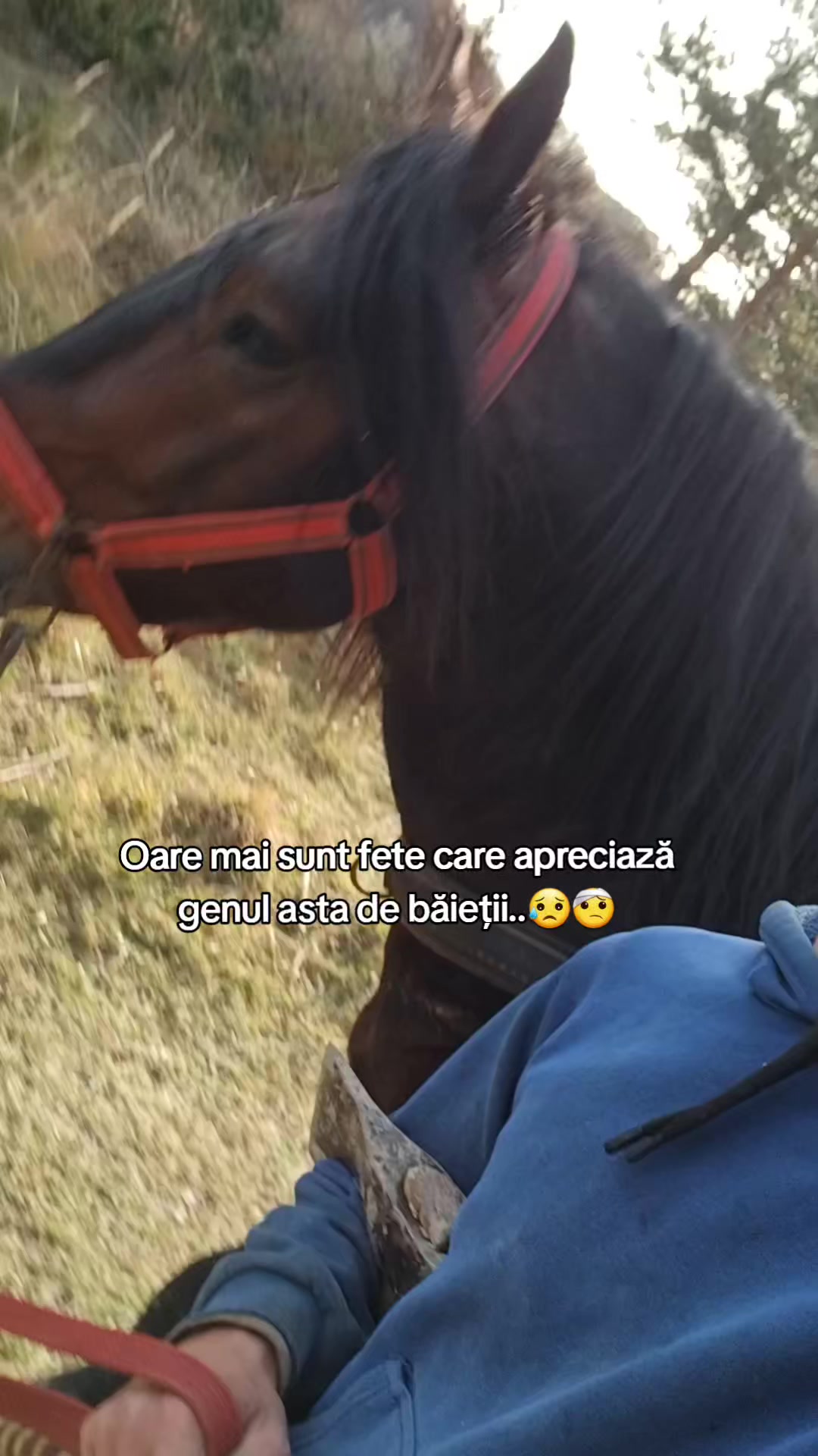 @Stelian