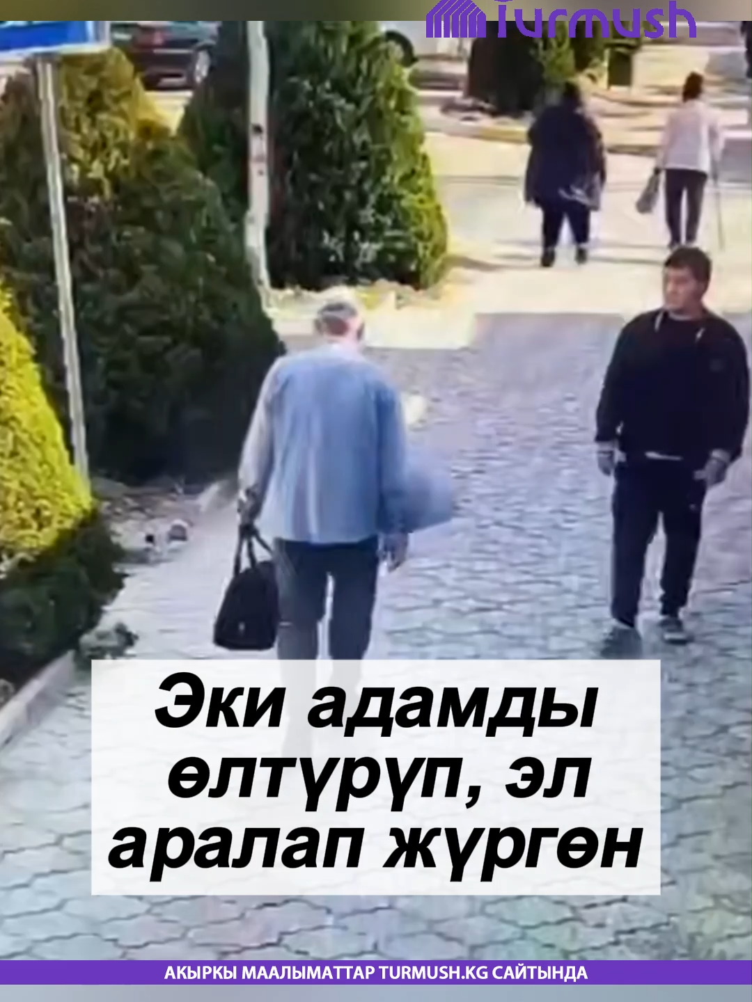 @turmush.kg__