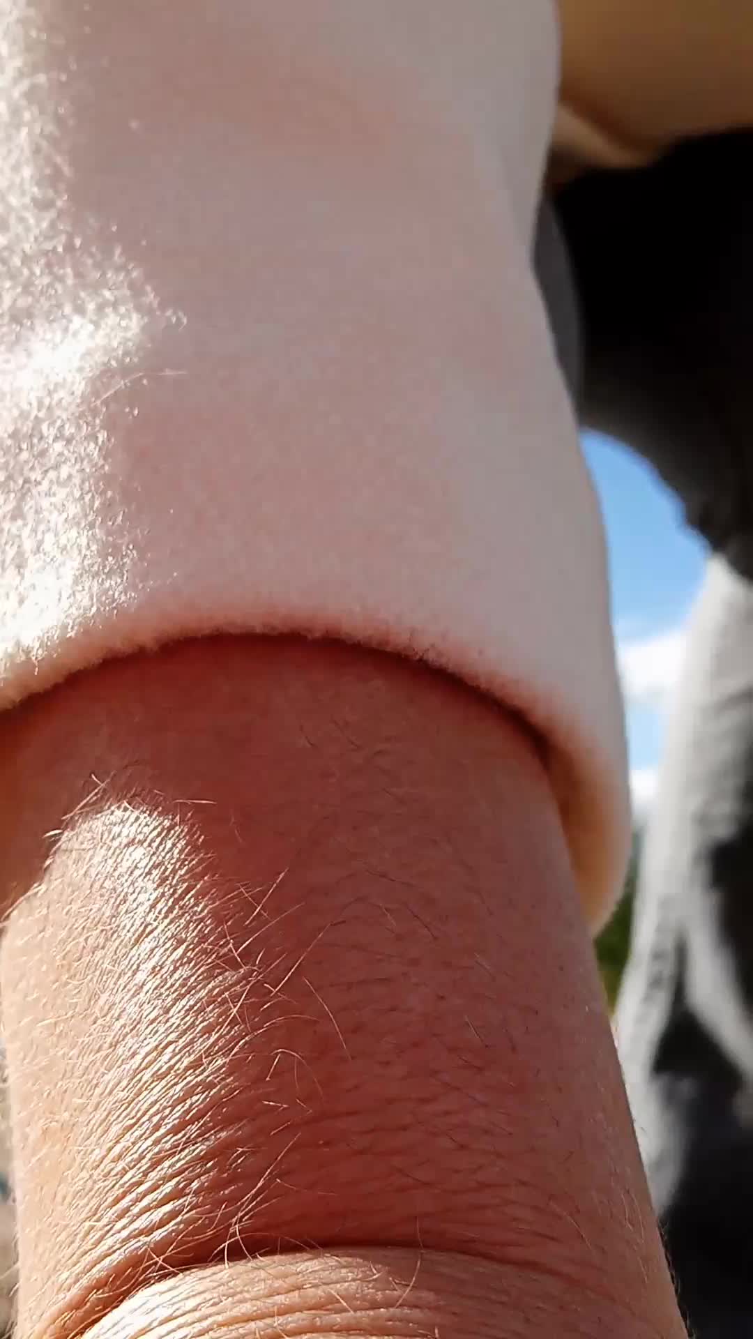 Emilia Di Giovanni (@leonessa716) - Urlebird