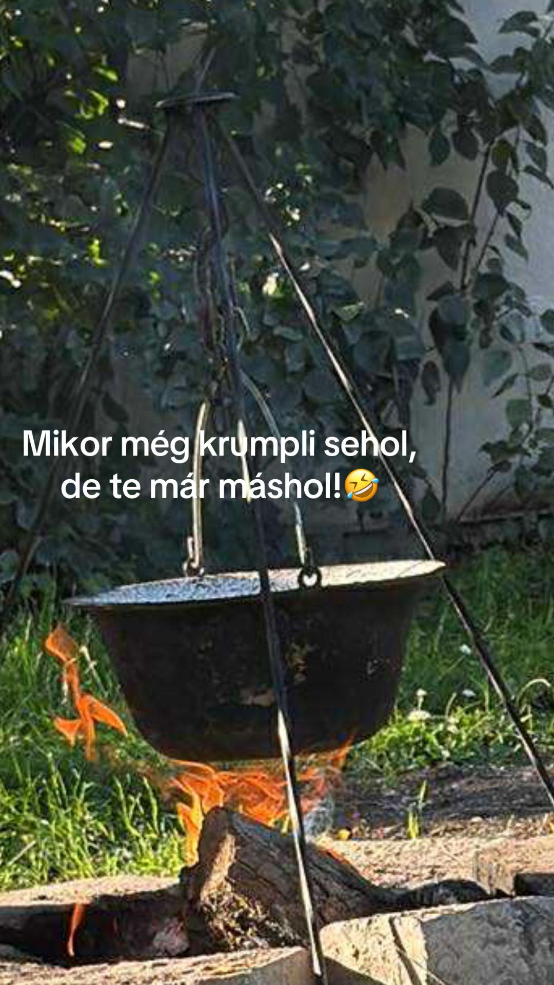@Hegedűs Marci