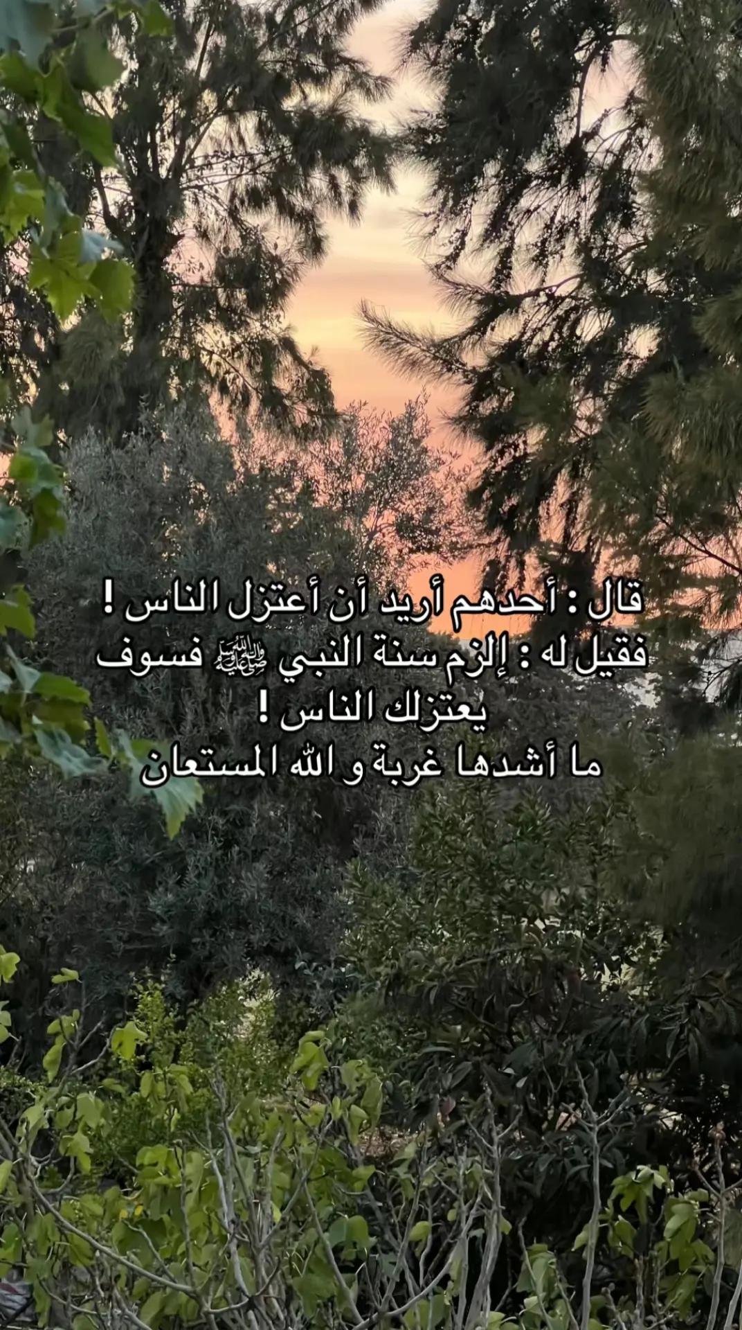 @🌹 خَلَفْ لِخَيْرِ سلَفْ 🌸📚