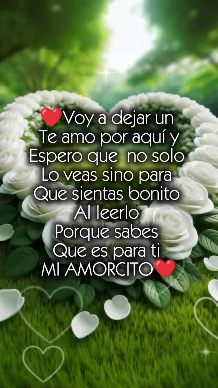 @Dalia Vicente