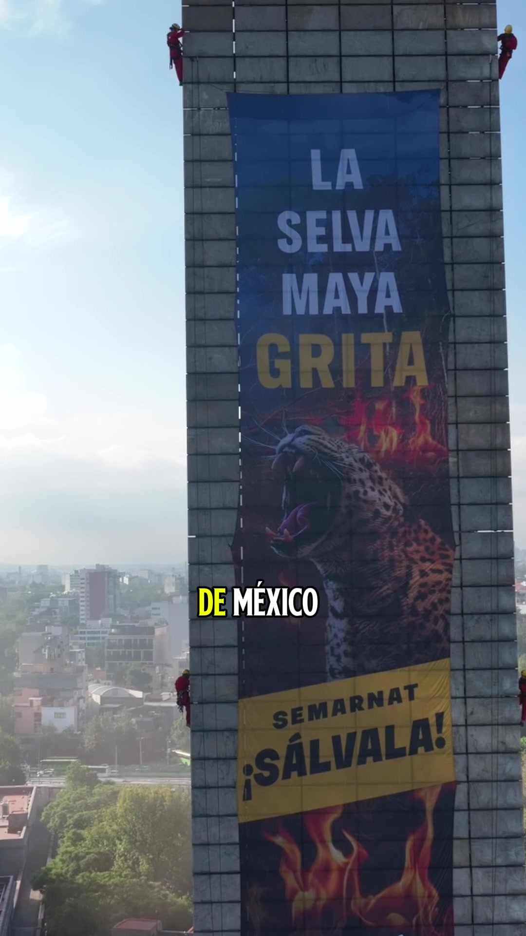 @Greenpeace M&eacute;xico