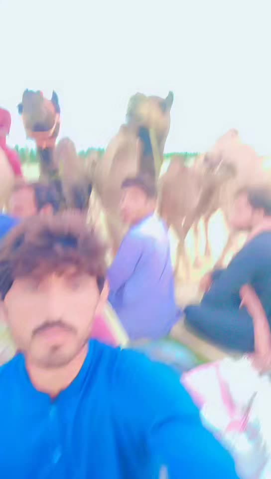 @Malik Asad Saggu