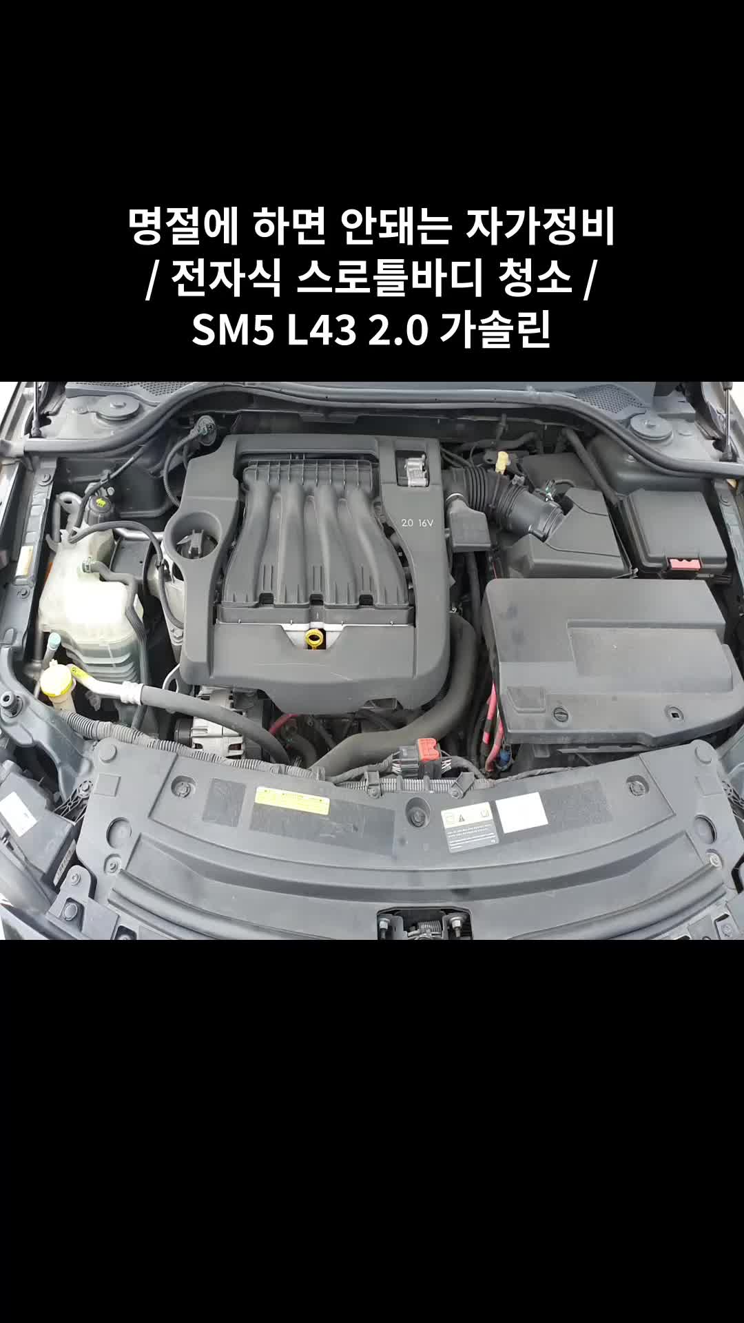 @귀여운친구