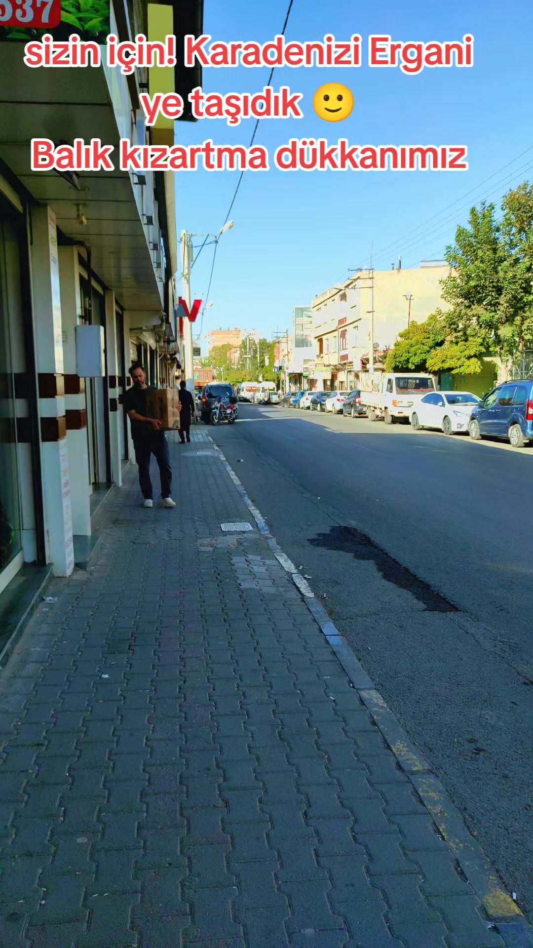 @Ergani Karadeniz balık evi