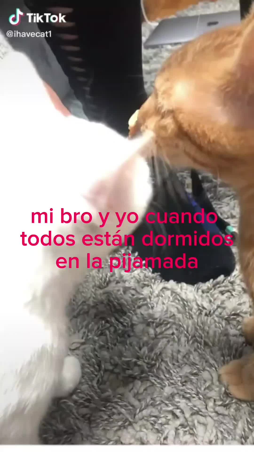 @vicansagu