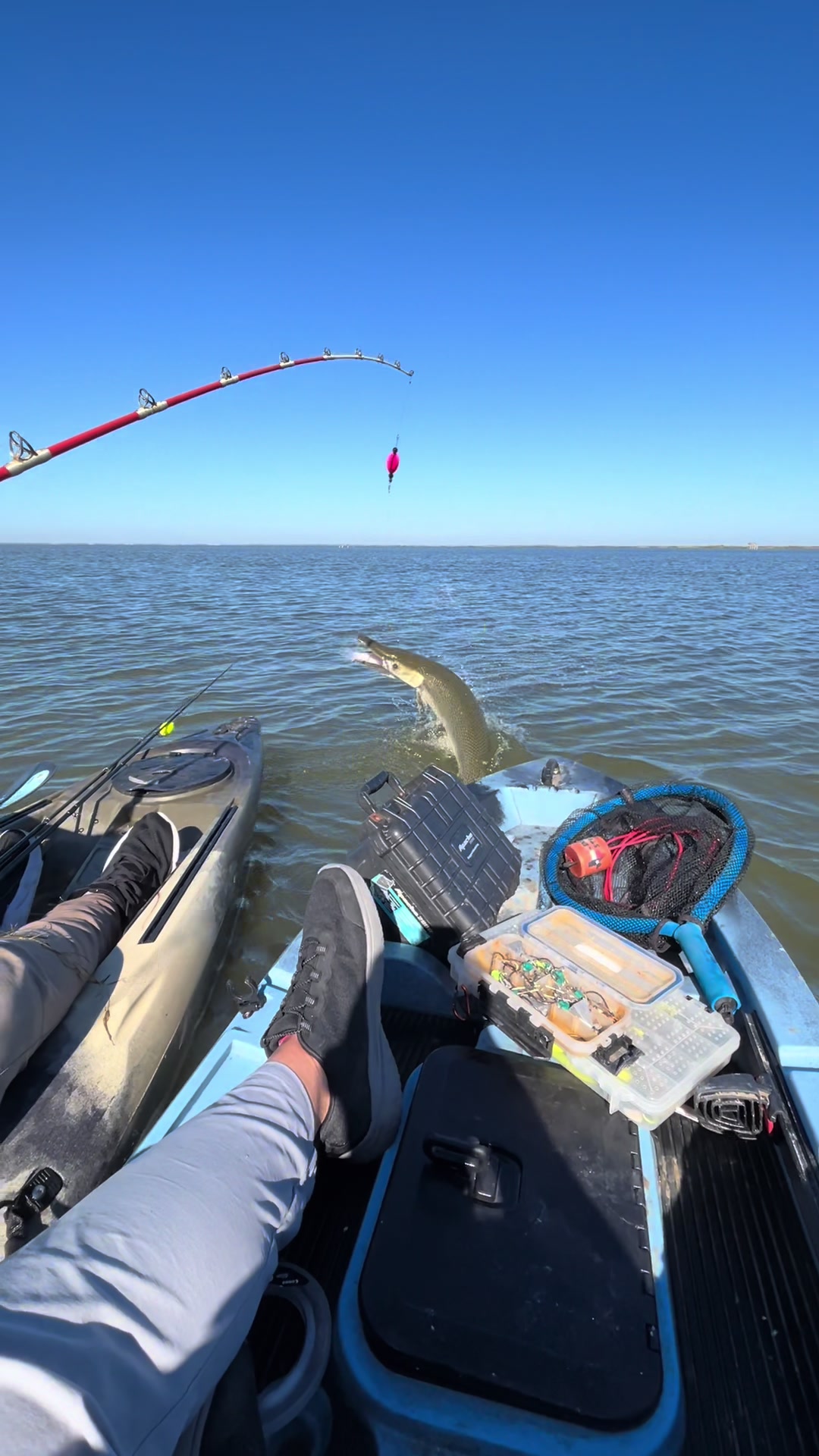 @LOW_BUDGET_FISHING