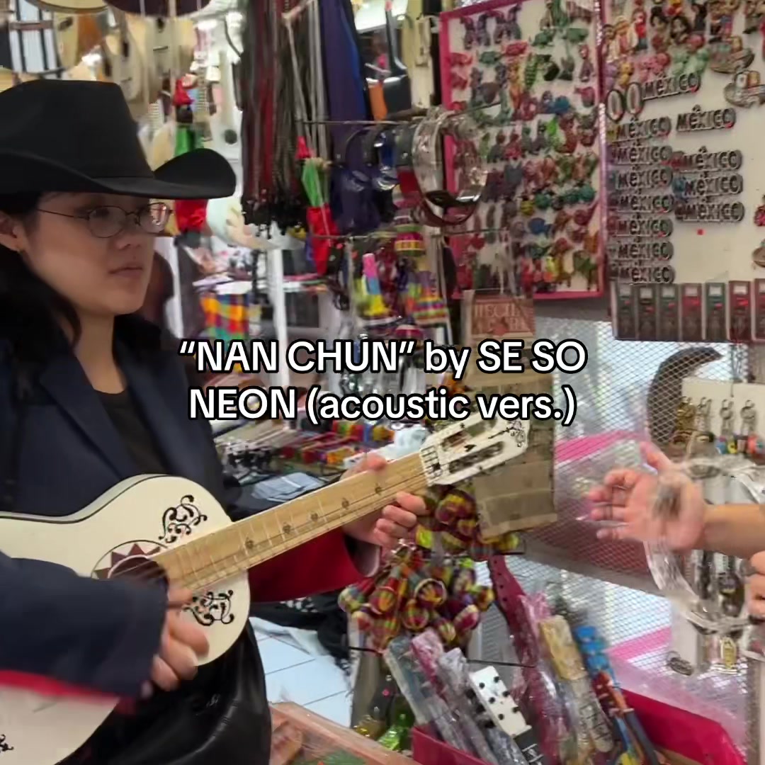 @se so neon fan hub