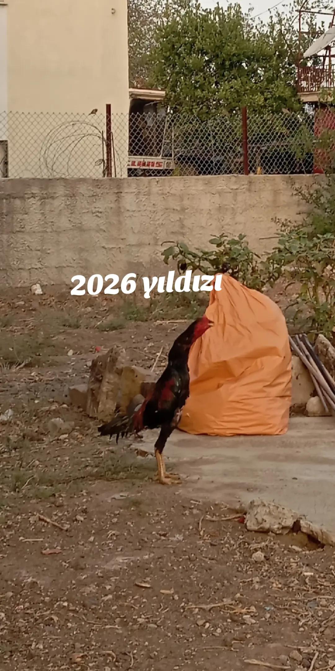 @G&ouml;k