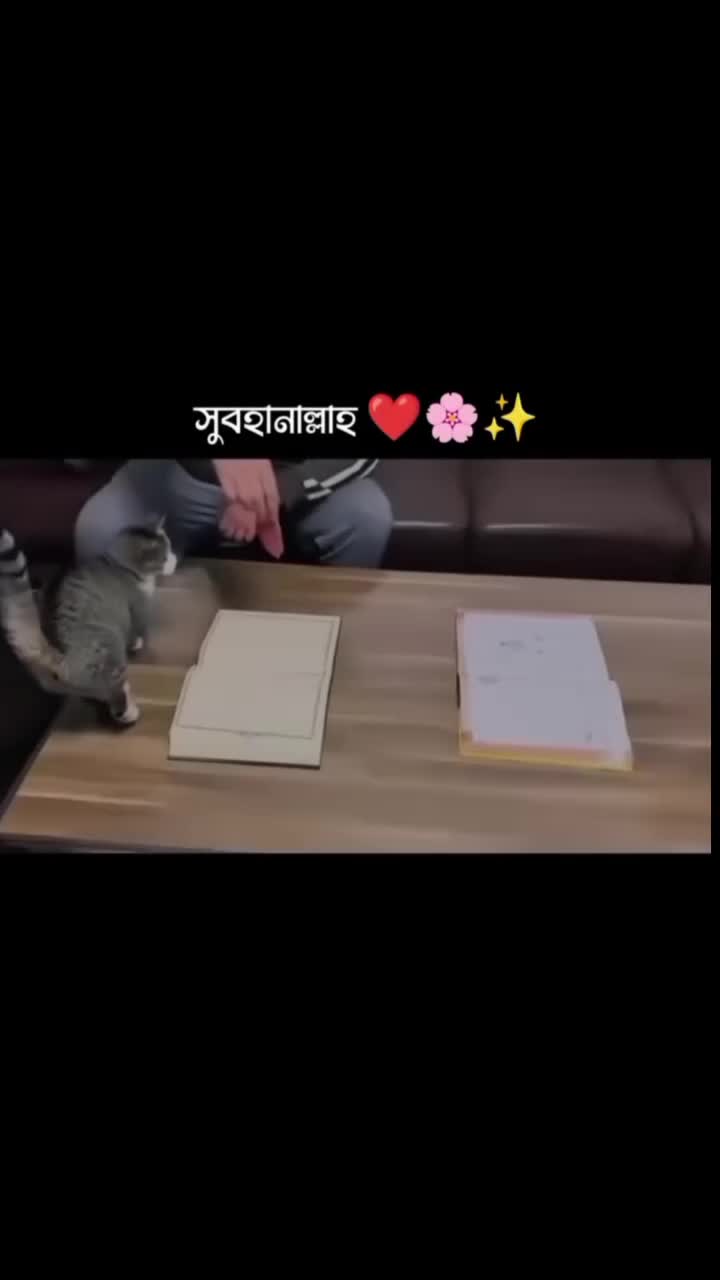 @🦋✨𝘏ᥲ𝕝𝑖ෆ𝕒✨🦋