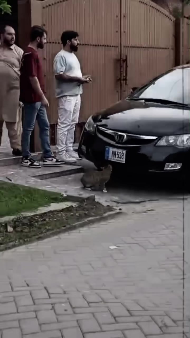 @🌸ملک زادی🦋
