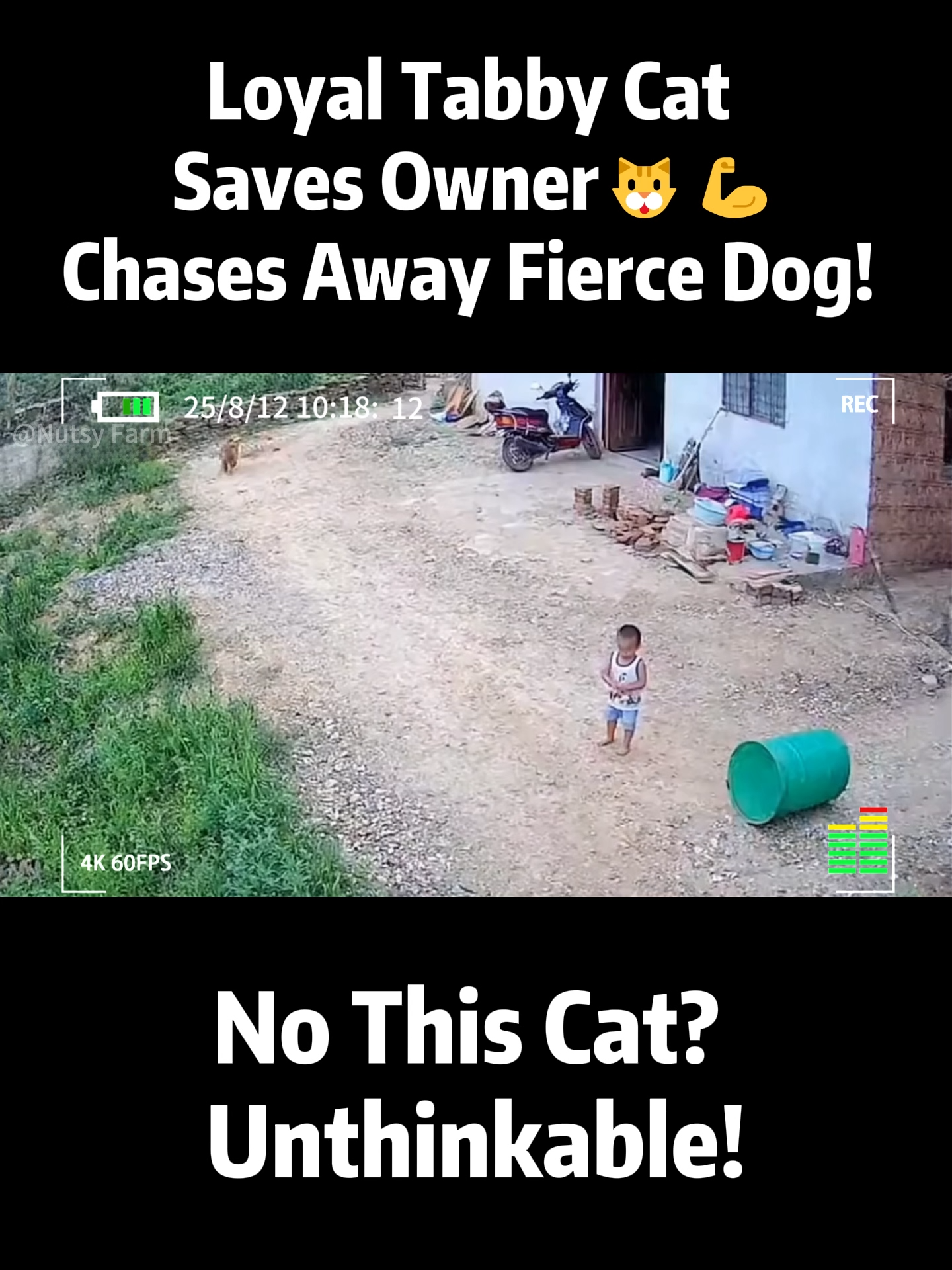@NutsyFarm