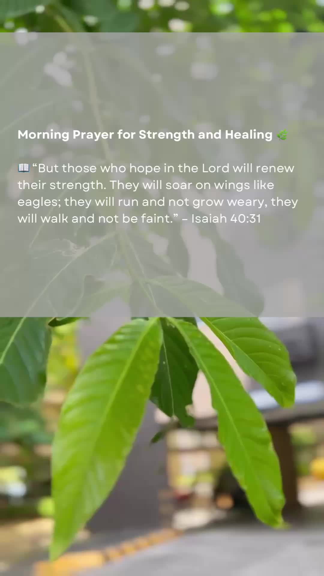 @daily.faith.reflection