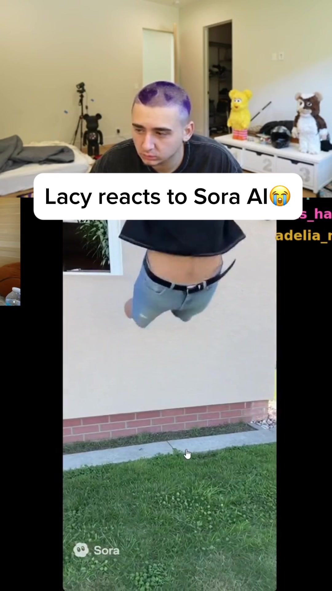 @xelioclipped