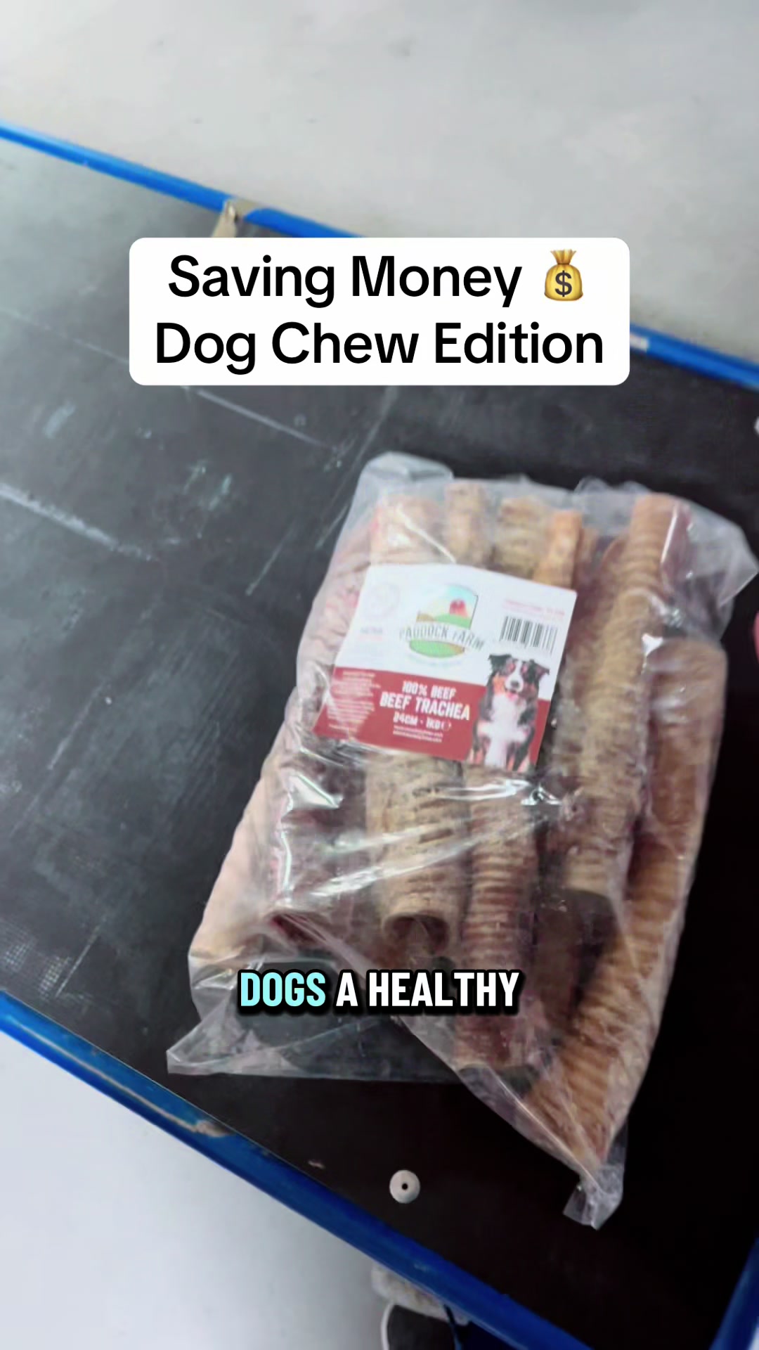 @Train Up Pup