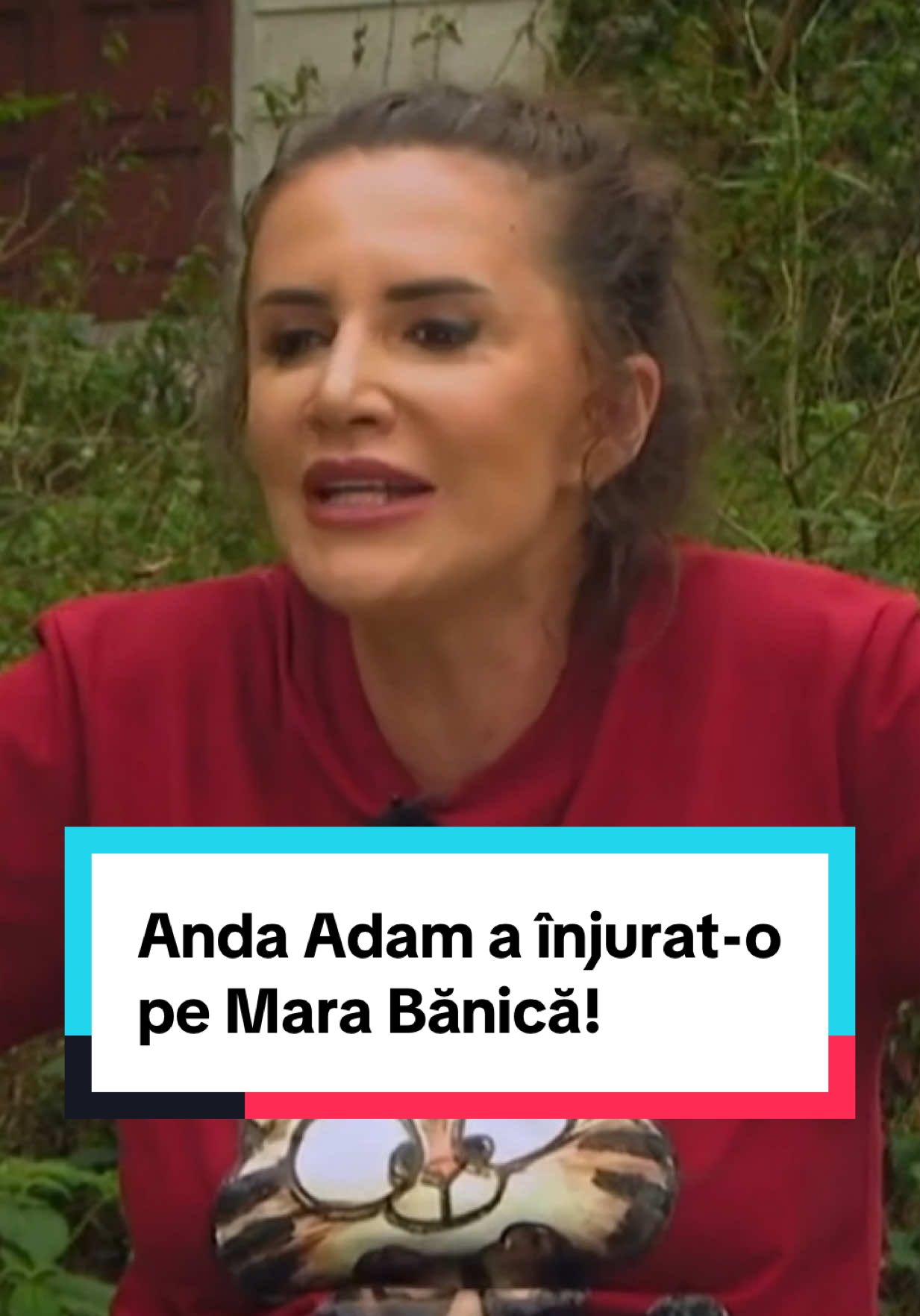 @cancan.ro