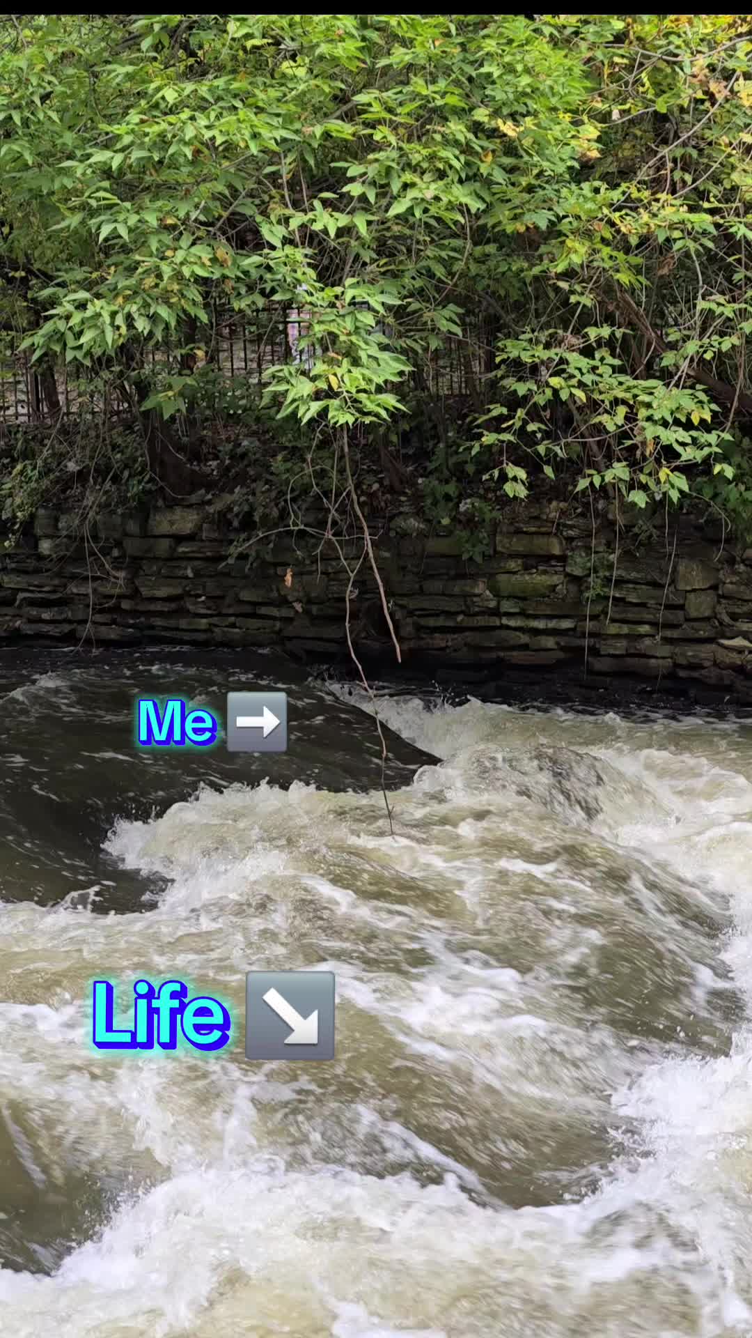 @Jessica 💙