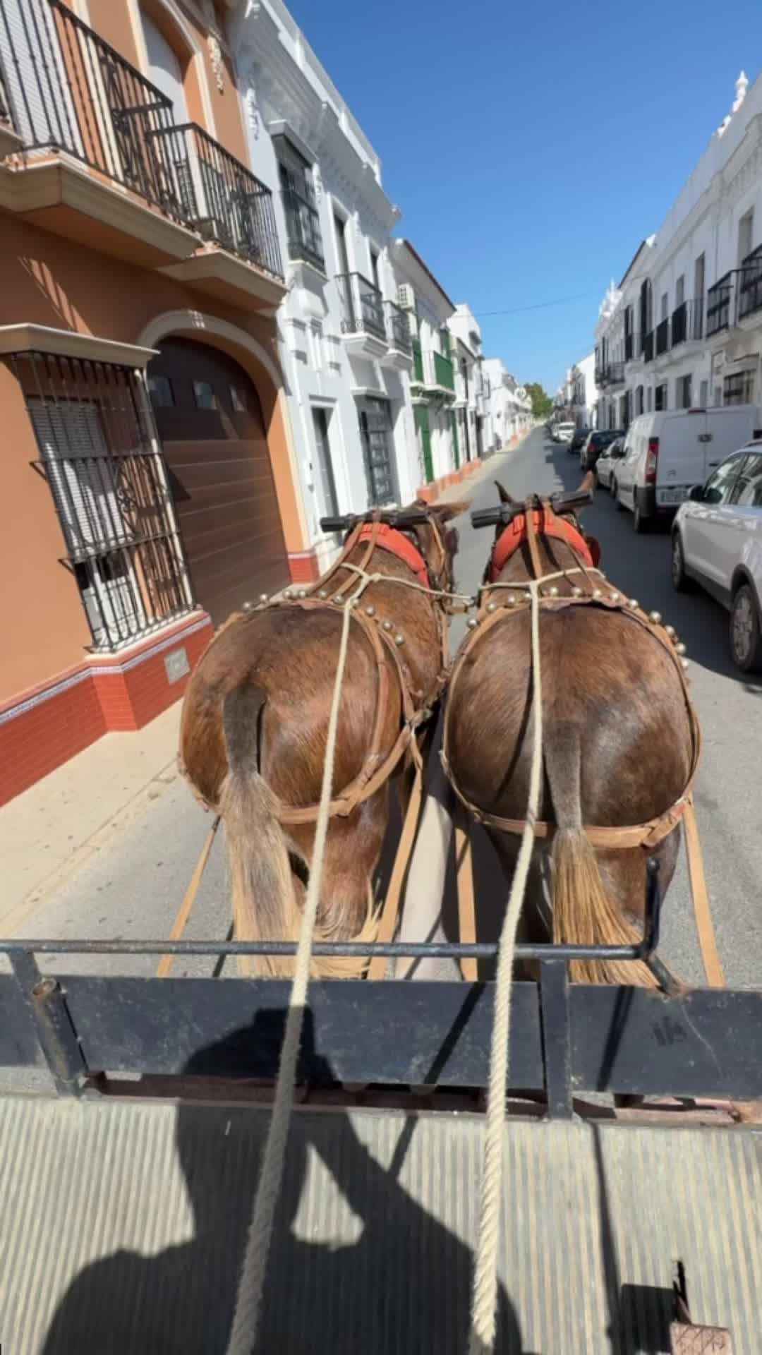 @Rafa_lopez15