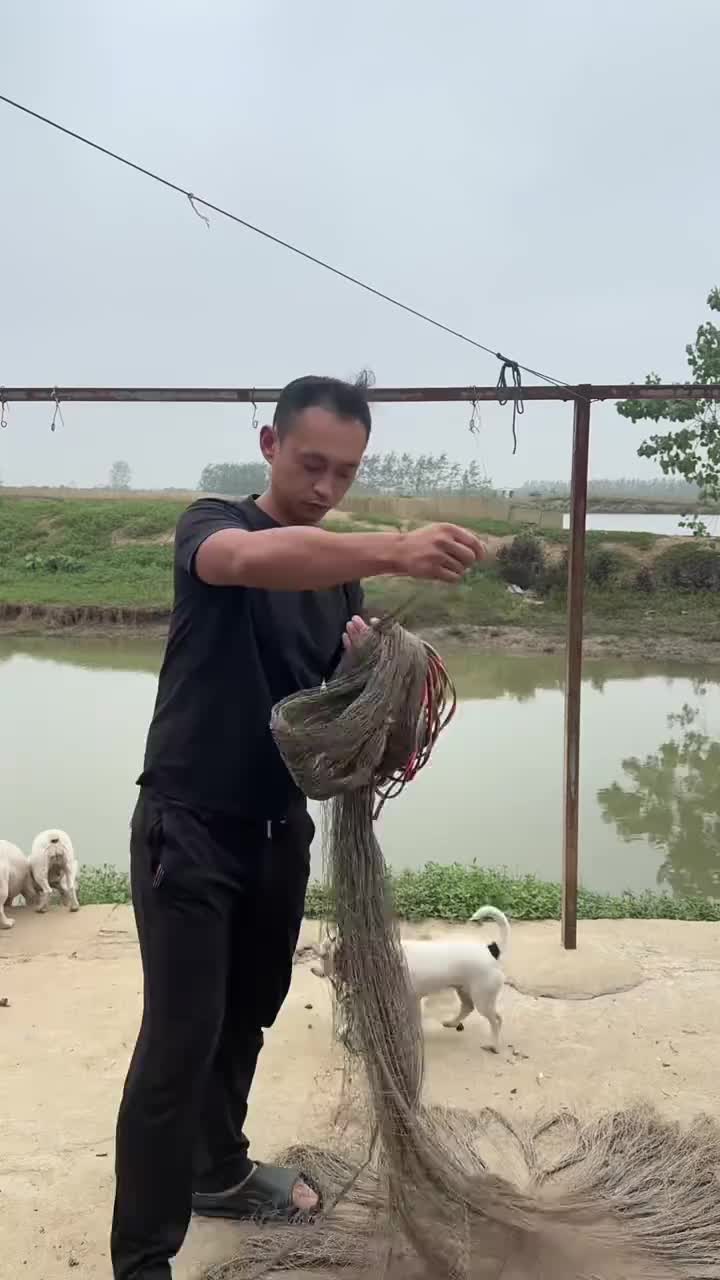 @wywangyu
