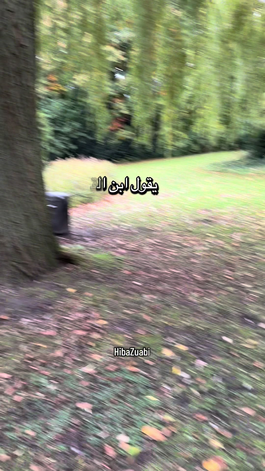 @HibaZuabi