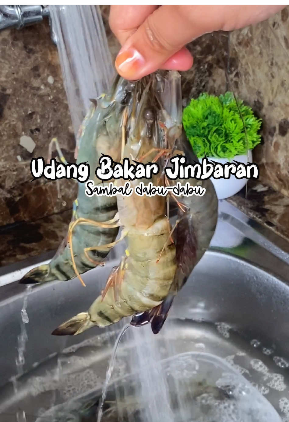 @Ayu Nose