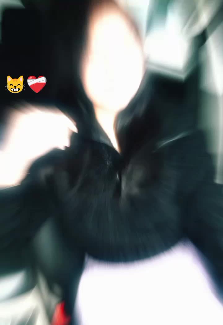 @🌻Ěvė&euml; toă 💞