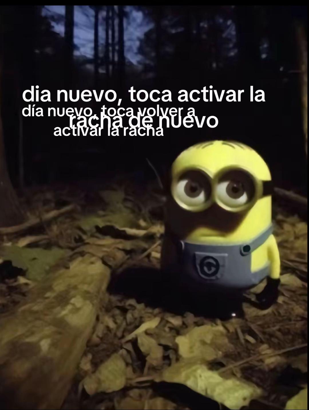 @activalarachaya0