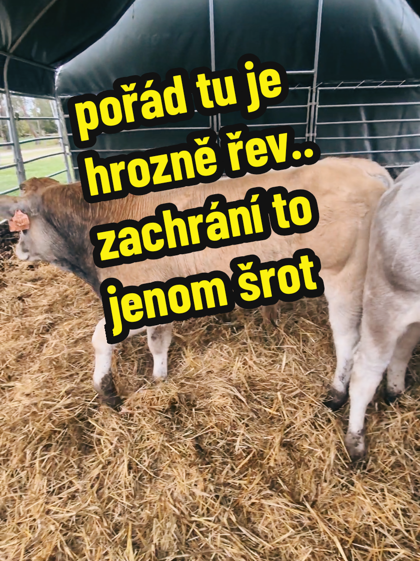 @Ekofarma Holčovice