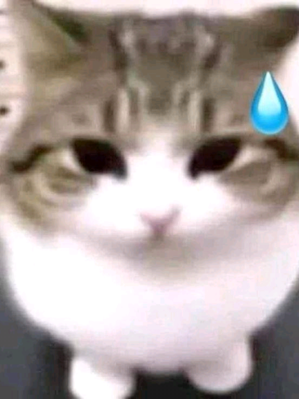 @M4R
